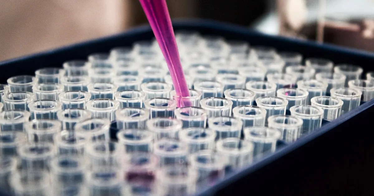 The 12 Hallmarks of Aging: A Complete Guide to the Science of Getting Older